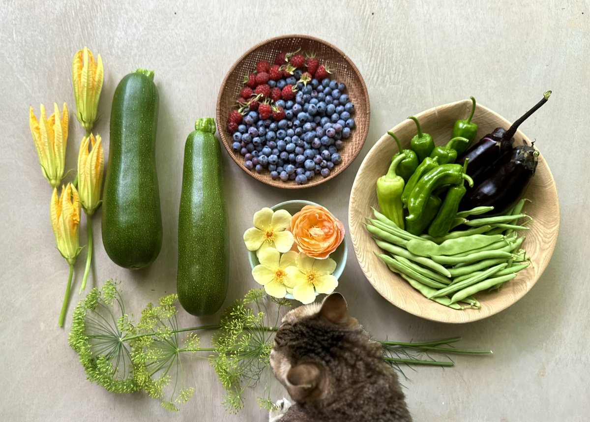 ワアワアしている間に季節がまた変わっていました。みんな元気で、畑も順調です。