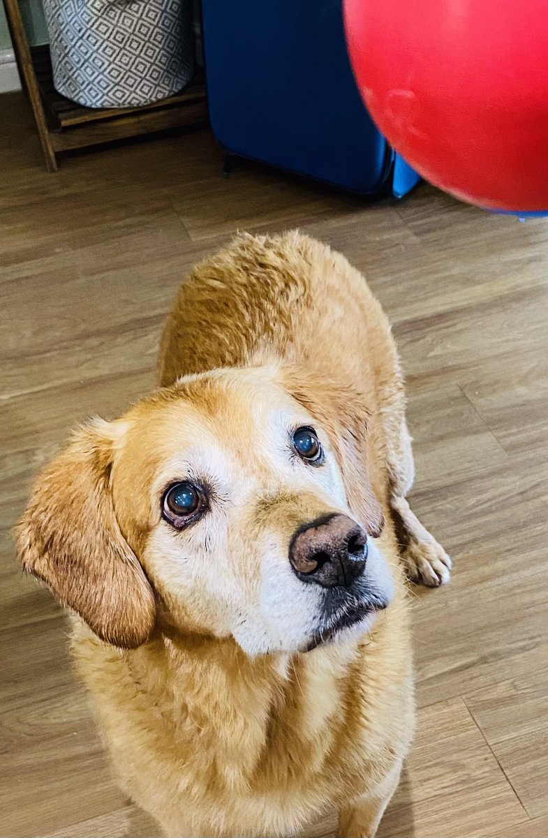 Penny Fray tweet media