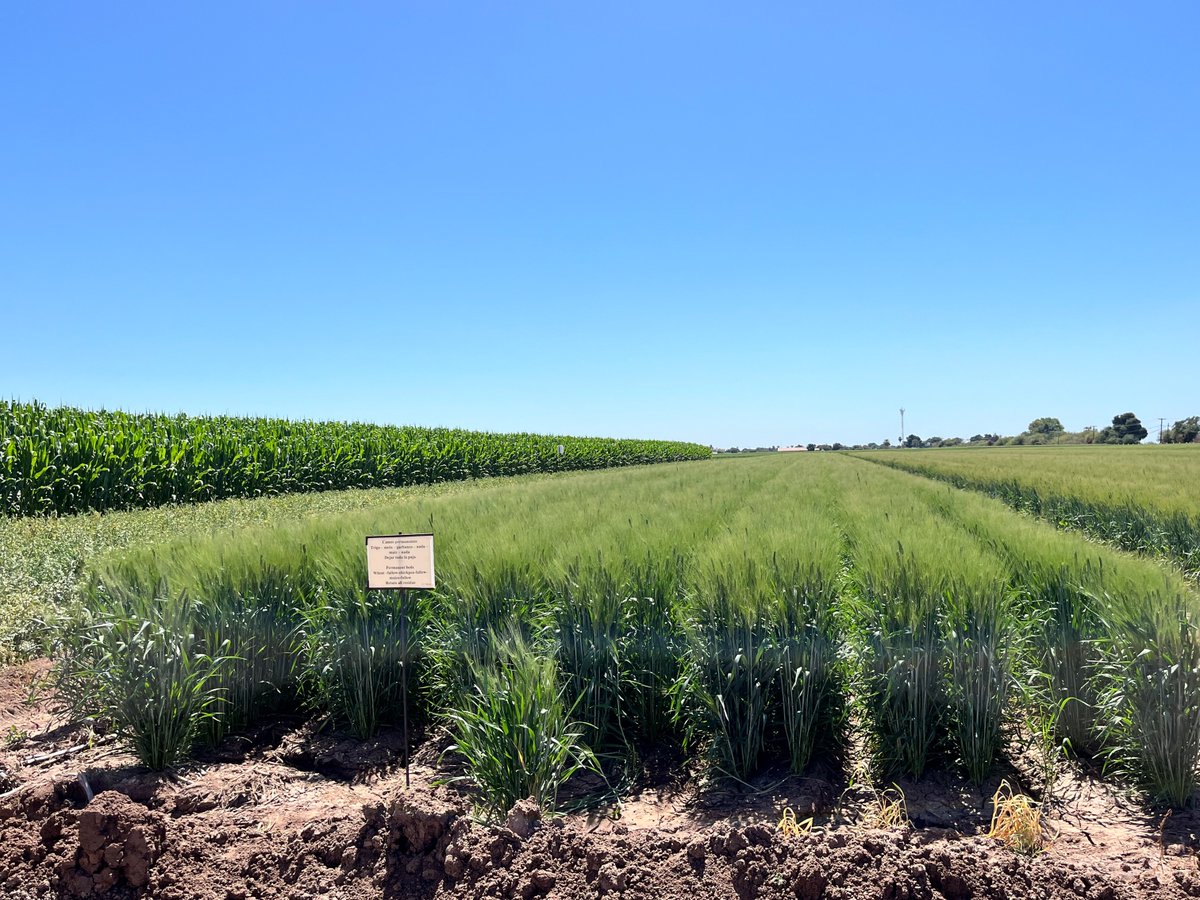 AgMission tweet media