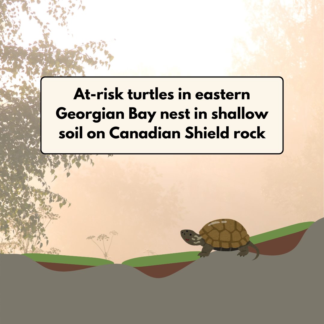 Kyra Simone tweet media