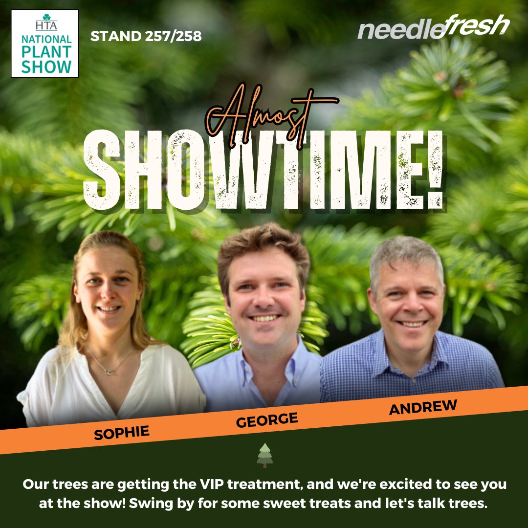 Needlefresh Direct tweet media