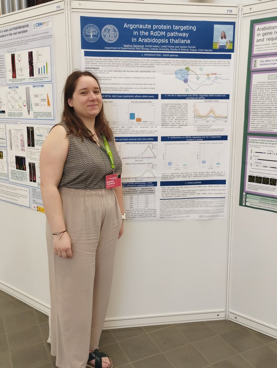FischerLab210's tweet image. Our member Kateřina Teznerová visited European Workshop on Plant Chromatin (@_EWPC_) with her poster about Argonaute protein targeting in the RdDM pathway in Arabidopsis thaliana. Thanks to all participants of #EWPC24 for a great experience!
#plantchromatin #SPT6L #AGOhook