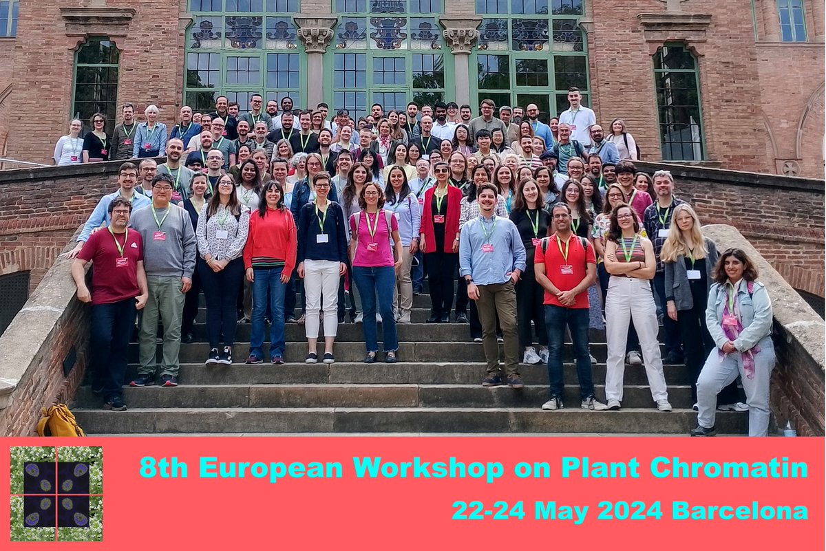 FischerLab210's tweet image. Our member Kateřina Teznerová visited European Workshop on Plant Chromatin (@_EWPC_) with her poster about Argonaute protein targeting in the RdDM pathway in Arabidopsis thaliana. Thanks to all participants of #EWPC24 for a great experience!
#plantchromatin #SPT6L #AGOhook