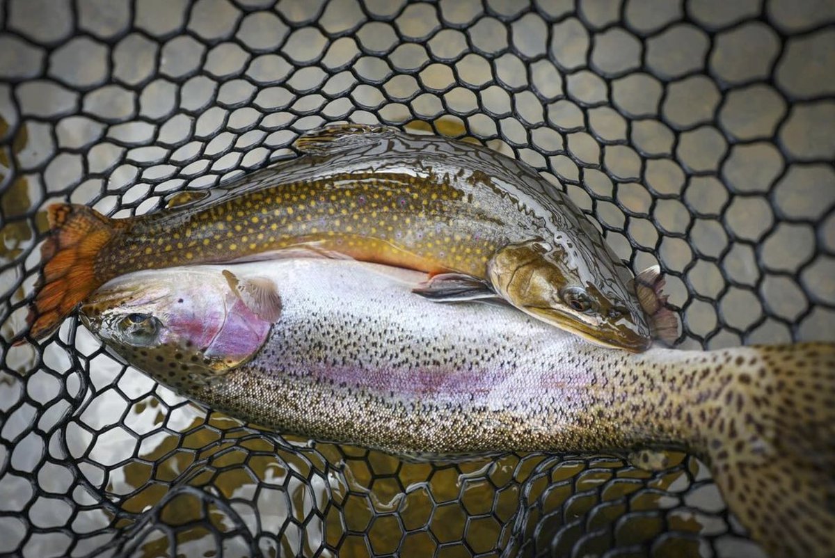 RepYourWater tweet media