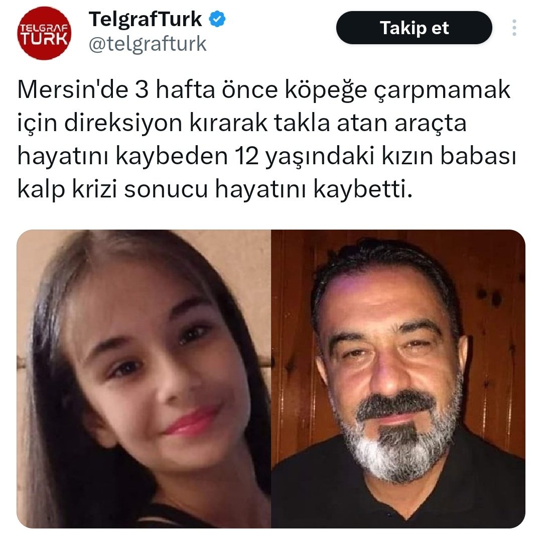 Dağ gibi adamın kalbi üzüntüye dayanamamış.

Muhtemelen canından çok sevdiği kızının ölümünden kendisini sorumlu tuttu.

Belki o 3 hafta boyunca her gece "keşke o iti ezip geçseydim" diye düşünerek kendi kendini yedi bitirdi.

İtperestler yüzünden yok olup giden başka bir aile...