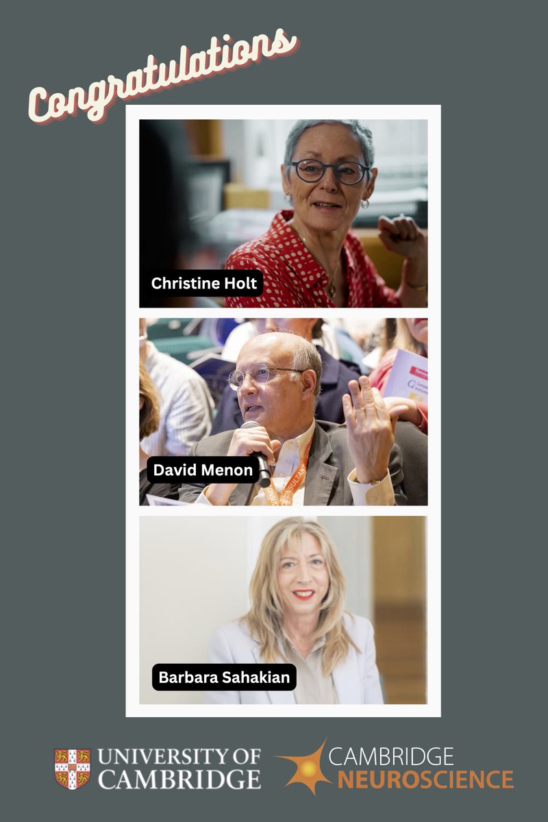 Cam Neuroscience (@camneuro) on Twitter photo šļøCongratulations to all recognised in King's Birthday Honours 2024, which recognises achievements & service of people across UK, from all walks of life.
Especially our members awarded CBEs, Professors Christine Holt, <a href="/Menon_Cambridge/">David Menon</a> & <a href="/BJSahakian/">Barbara Sahakian</a> šš
šcam.ac.uk/news/cambridge⦠šļøCongratulations to all recognised in King's Birthday Honours 2024, which recognises achievements & service of people across UK, from all walks of life.
Especially our members awarded CBEs, Professors Christine Holt, <a href="/Menon_Cambridge/">David Menon</a> & <a href="/BJSahakian/">Barbara Sahakian</a> šš
šcam.ac.uk/news/cambridgeā¦