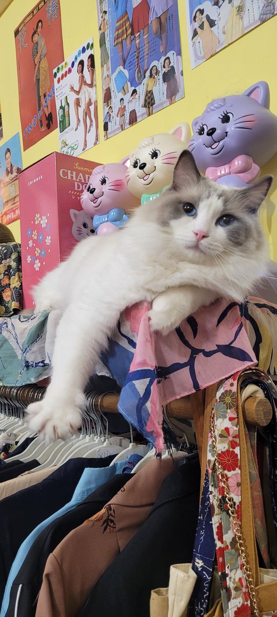 Hanna Gwynn tweet media