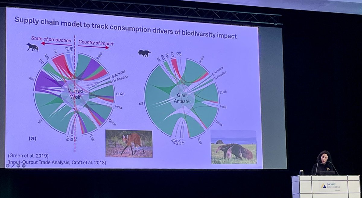 Francesca Rosa (@_francescarosa_) on Twitter photo Boom!
Presented #Biodiversity assessment of #SupplyChains and #InputOutputAnalysis at a plenary of <a href="/WorldBioForum/">World Biodiversity Forum</a>.
Thrilled to see these topics shared widely and experts uniting to tackle this challenge.
Thanks to <a href="/APazDuran/">Paz Durán, PhD</a> for the interesting presentation! Boom!
Presented #Biodiversity assessment of #SupplyChains and #InputOutputAnalysis at a plenary of <a href="/WorldBioForum/">World Biodiversity Forum</a>.
Thrilled to see these topics shared widely and experts uniting to tackle this challenge.
Thanks to <a href="/APazDuran/">Paz Durán, PhD</a> for the interesting presentation!