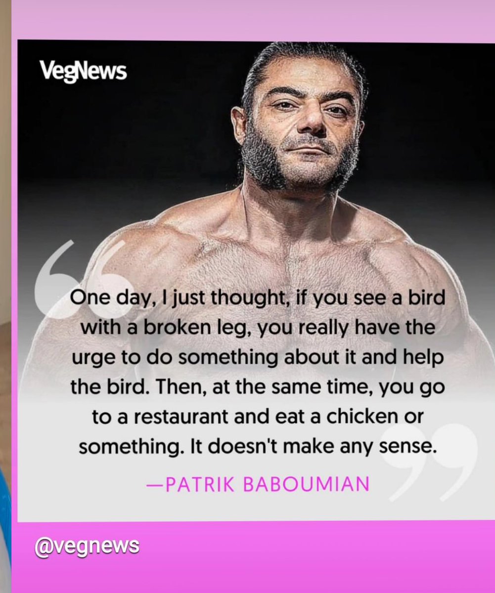 Tamara Cassidy, Vegan, Animal Liberation Activist tweet media