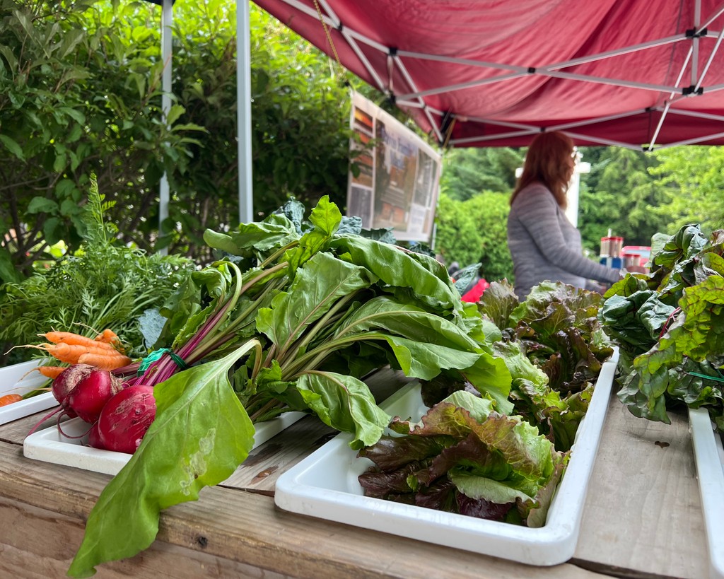 Smugglers' Notch tweet media