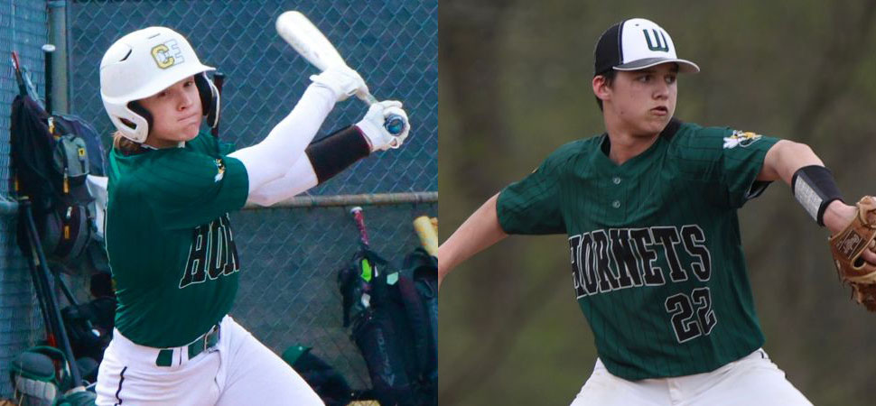 Wellsboro Baseball tweet media