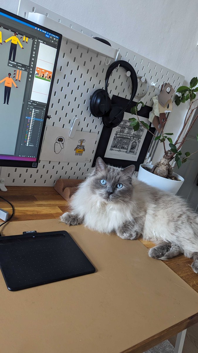 Projectdotco's tweet image. Seriously, do #mondays get better than Take Your Cat to Work Day? We don't think so 😻 #takeyourcattoworkday #takeyourcattowork #officecats