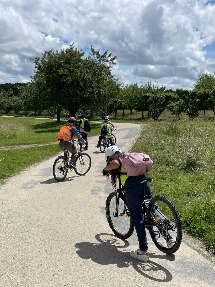 🔎👀 Un nouveau protocole de recherche sur les #cloportes, créé à l’<a href="/UnivPoitiers/">Université de Poitiers</a>, est en phase terminale de test avec une classe de l’école de Mignaloux au jardin botanique universitaire.

RDV à la rentrée pour déployer ce protocole aux établissements scolaires de l'<a href="/acpoitiers/">Académie de Poitiers</a>.