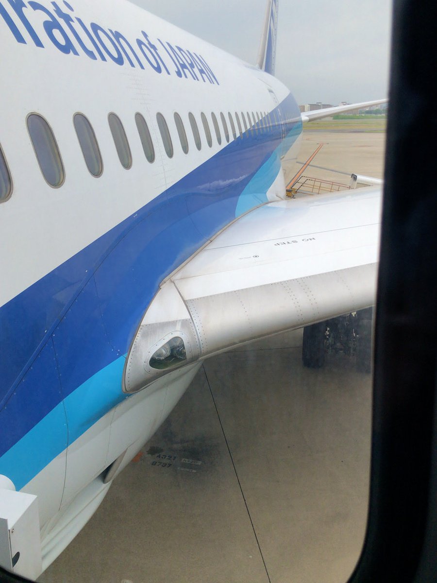 Chonn_Fu's tweet photo. 今朝の伊丹空港は曇り空でした☁️
今日は通路側座席💺だったので仕事をしながら羽田空港に向かいました💻
#伊丹空港　#ANA20便　#78M　#B787 https://t.co/ysZr9PM2w3