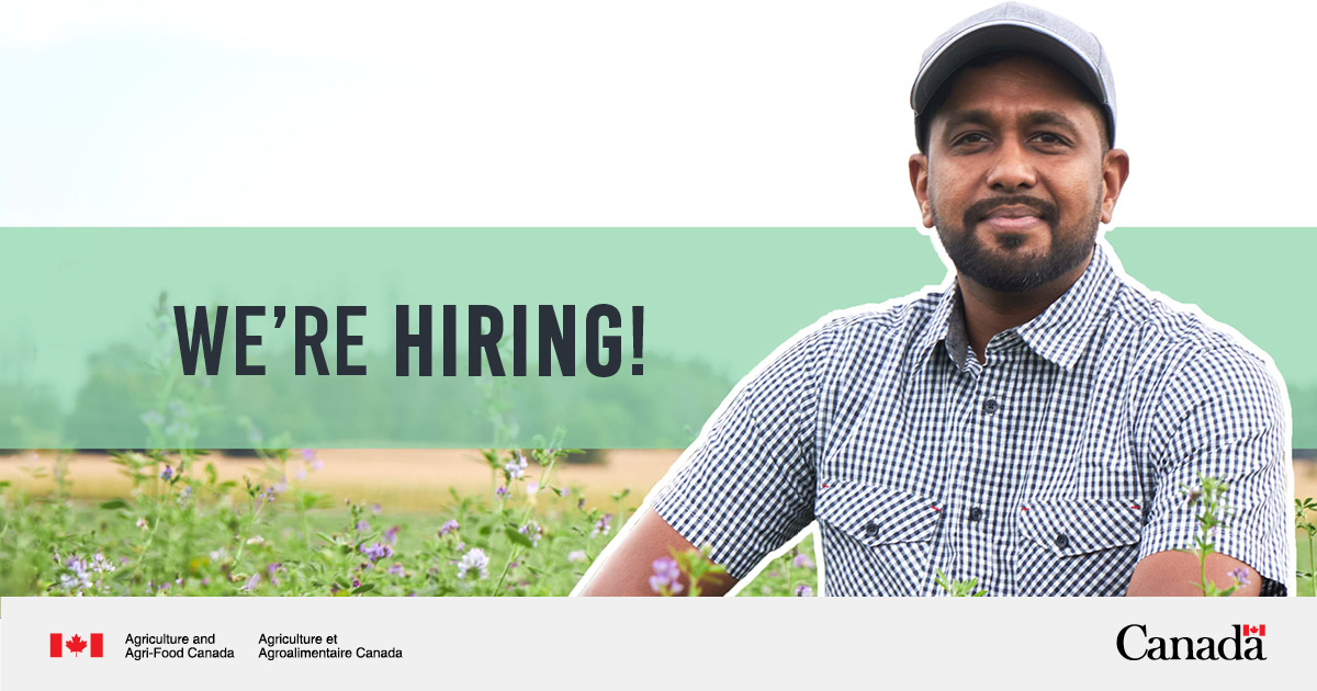 GC Jobs (@jobs_gc) on Twitter photo .<a href="/AAFC_Canada/">AAFC Canada</a> has a job opportunity for you! They’re looking for a Senior Agriculture Mechanic in Brandon, #MB.
Don’t miss out, apply before June 27, 2024 👉 ow.ly/uiQA50Sj6JP .<a href="/AAFC_Canada/">AAFC Canada</a> has a job opportunity for you! They’re looking for a Senior Agriculture Mechanic in Brandon, #MB.
Don’t miss out, apply before June 27, 2024 👉 ow.ly/uiQA50Sj6JP