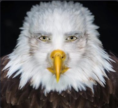 KiniGamer97 tweet media