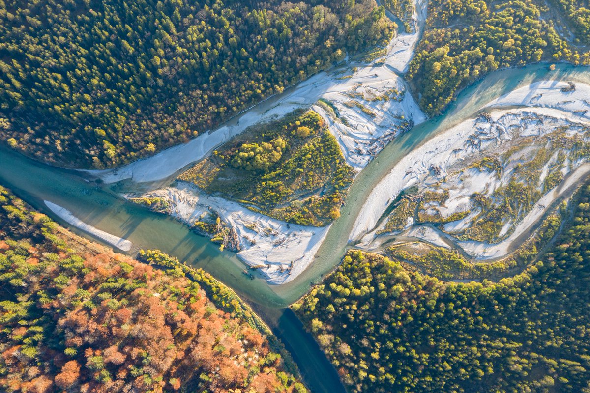 Das EU-#Renaturierungsgesetz ist verabschiedet! Ein Sieg für die Artenvielfalt. Für eine erfolgreiche Umsetzung sind die Bundesländer gefragt. Bayern muss mit gutem Beispiel vorangehen: Flüsse renaturieren, Moore wiedervernässen, artenreiche Wiesen fördern&amp;schützen!#RestoreNature