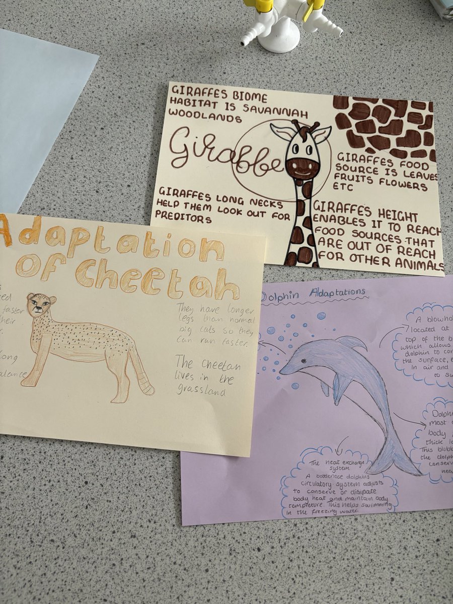 BoclairBiology's tweet photo. Excellent adaptation poster created by our new S3s!! 🐘🦒🐬 @BoclairAcademy https://t.co/9Z0Yhkf7hx
