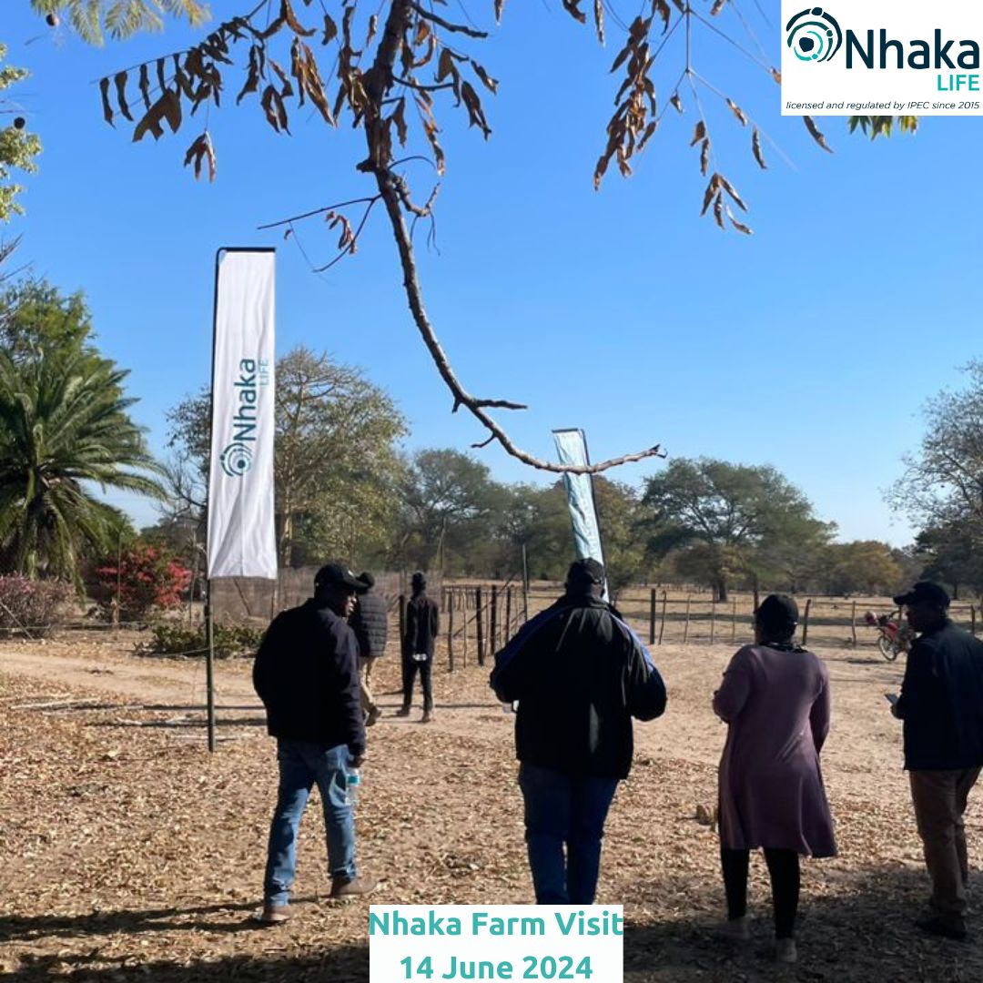 Nhaka Life Assurance tweet media