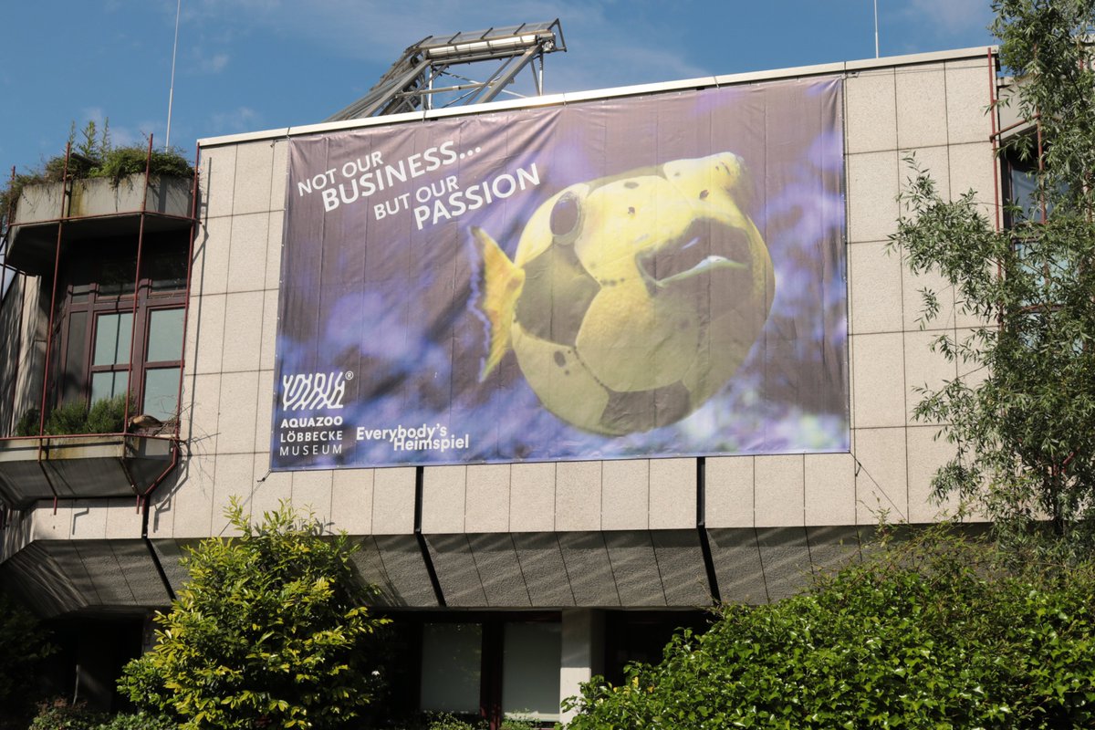 Wer uns während der EM-Spieltage in Düsseldorf besuchen möchte, beachte bitte folgende Hinweise: duesseldorf.de/aquazoo/aktuel…