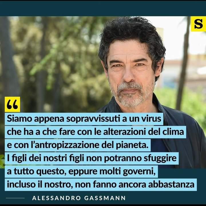 Sabrina F. tweet media