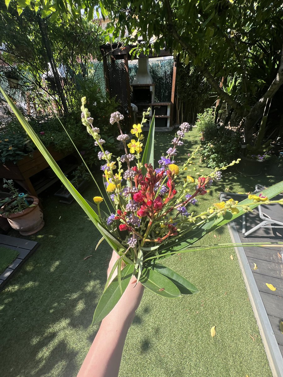 He ido a caminar por el río y he decidido hacerle un ramo a mi madre con flores silvestres 🥰♥️