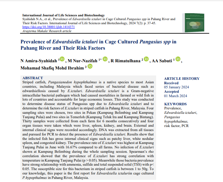 int_sci's tweet photo. Prevalence of Edwardsiella ictaluri in Cage Cultured Pangasius spp in Pahang River and Their Risk Factors

Authors: N Amira-Syahidah, M Nur-Nazifah, R Rimatulhana, AA Sabuti, Mohamad Shafiq Mohd Ibrahim

#prevalence #Edwardsiellaictaluri  #riskfactor #PCR

https://t.co/OxPbotNQMX https://t.co/T0LsuYvPhv