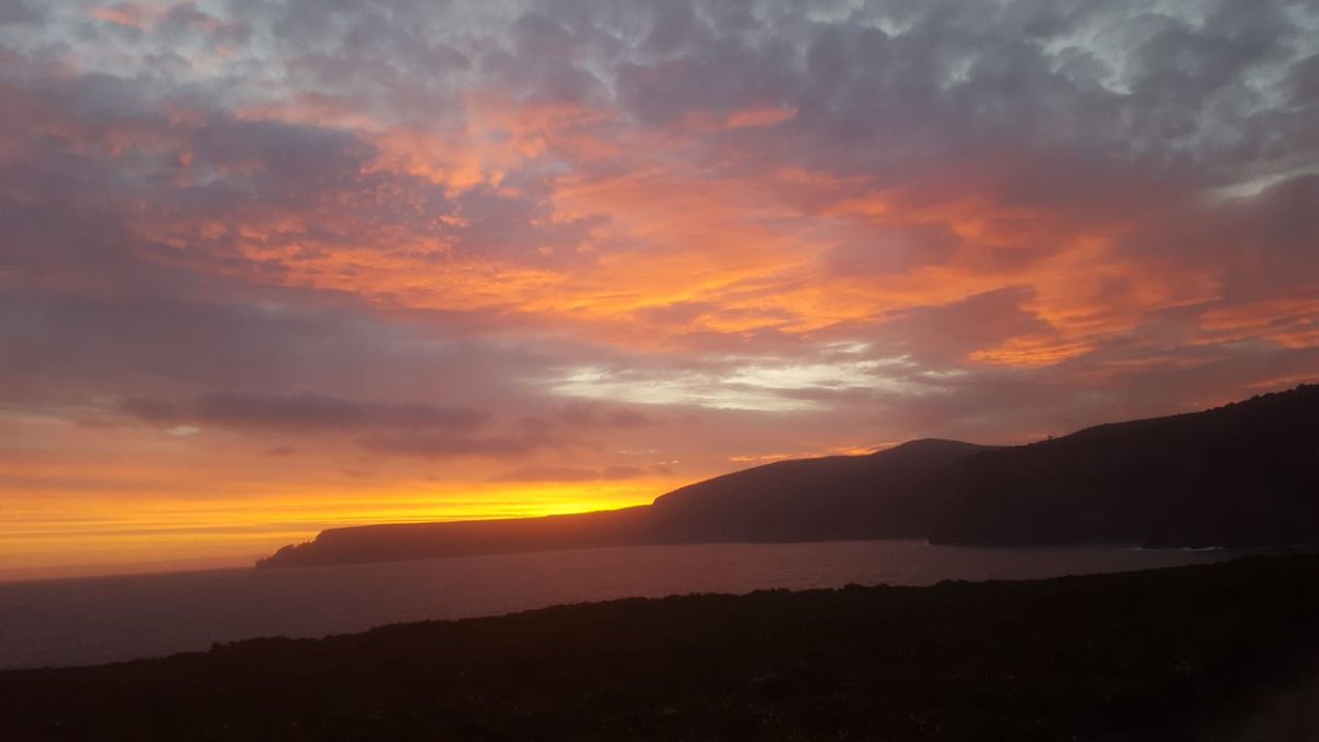 Yevardiaղ tweet media