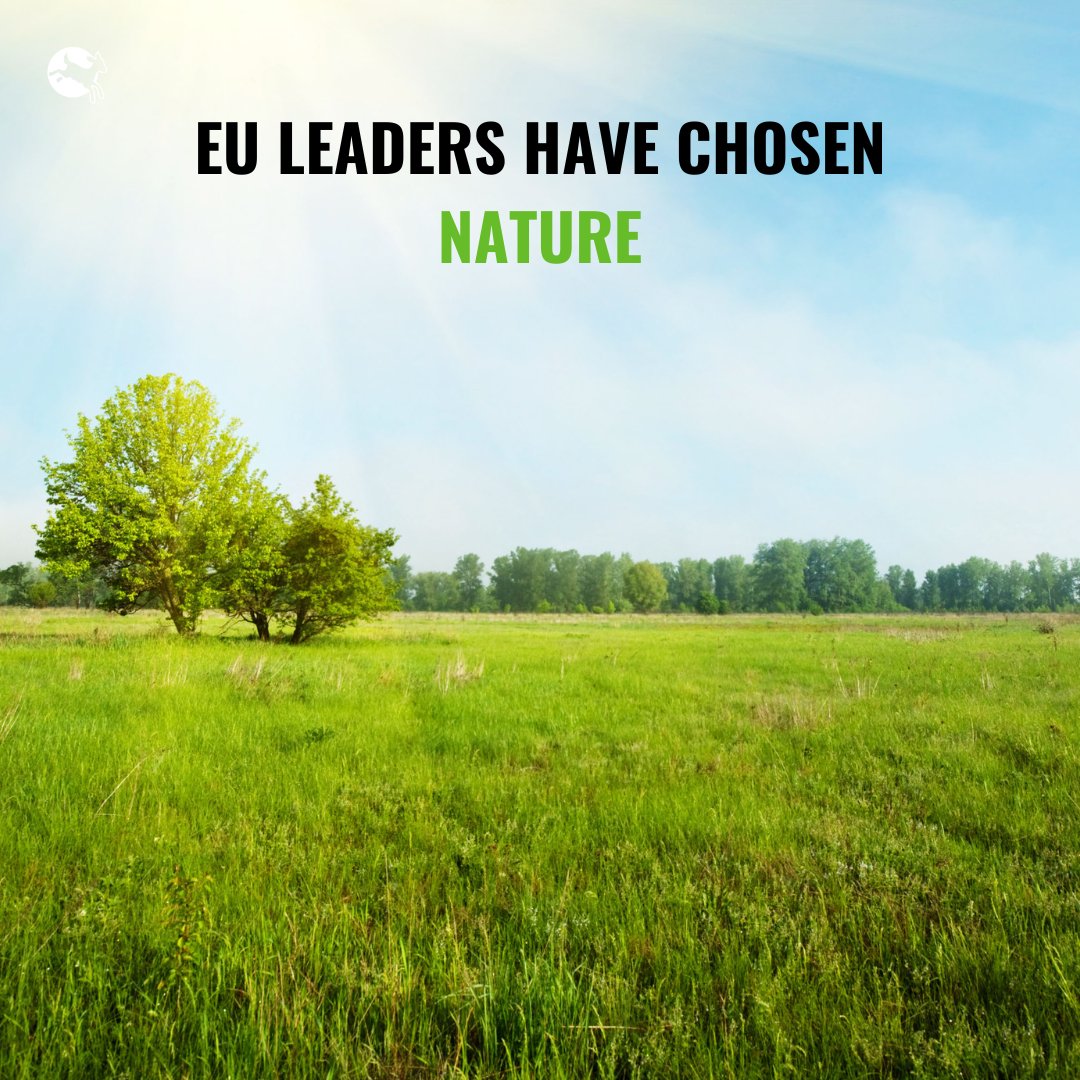 It’s a win for nature, animals and people! The Nature Restoration Law has been adopted. 🎉