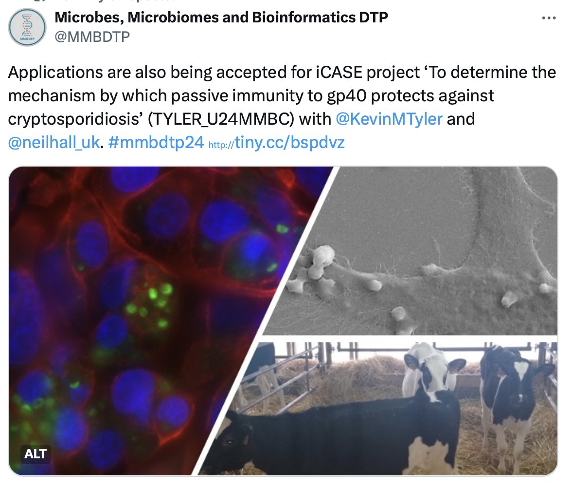 Microbes, Microbiomes and Bioinformatics DTP tweet media