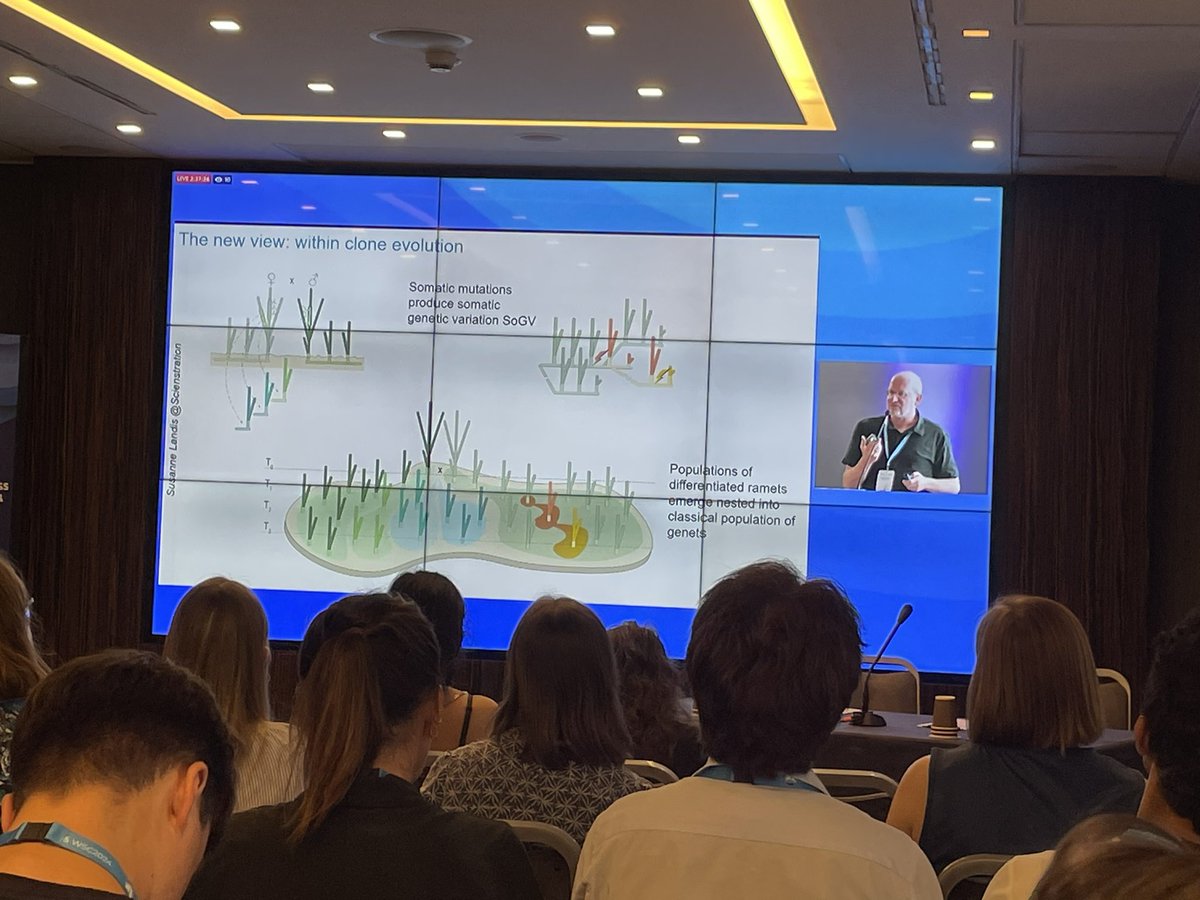 Mariana Lima tweet media