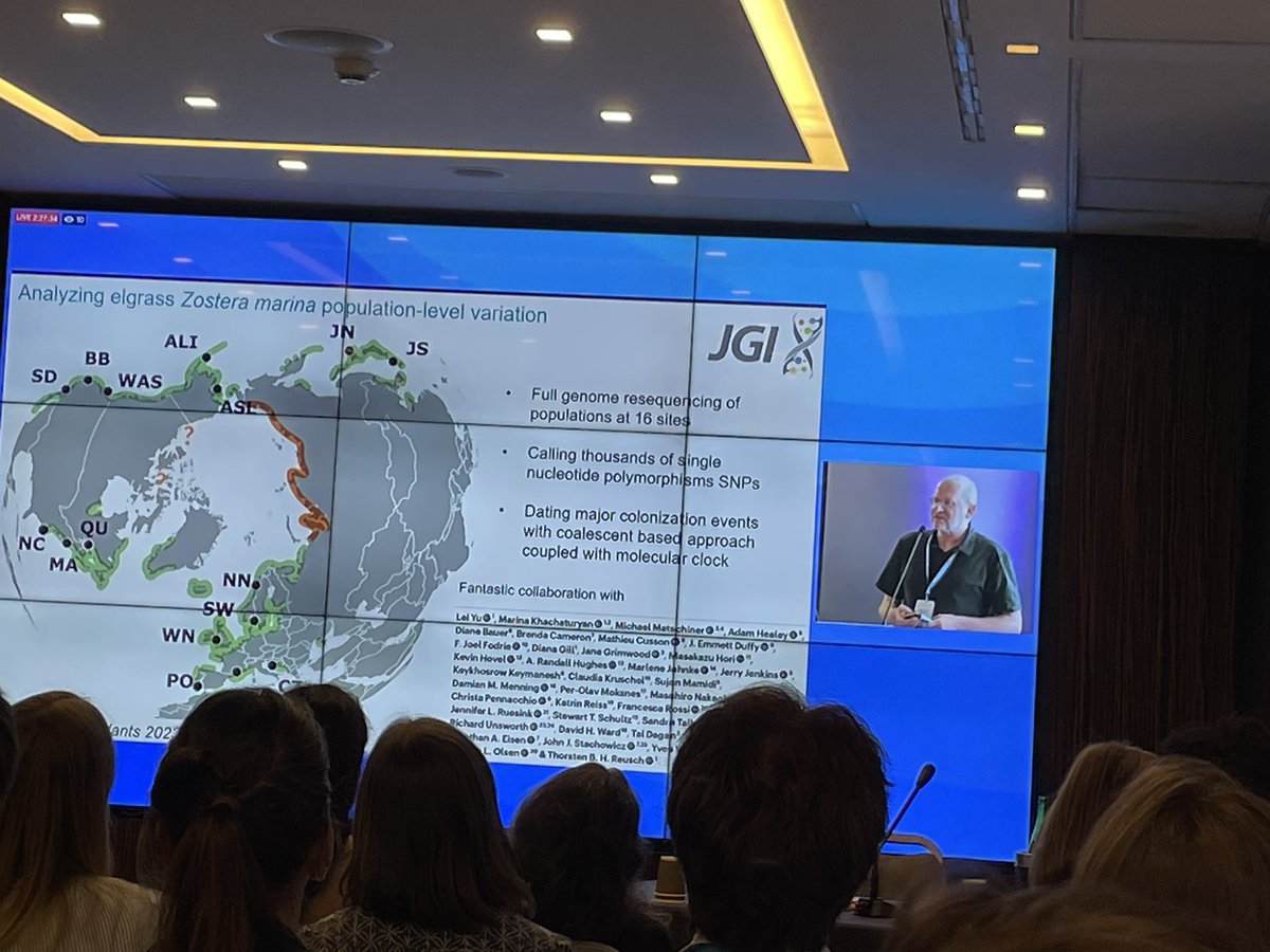 Mariana Lima tweet media