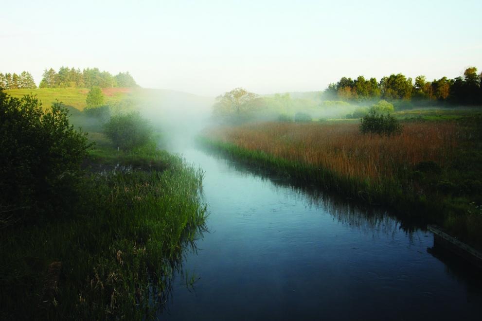 Inger Andersen (@andersen_inger) on Twitter photo Bravo EU! Fantastic to see #NatureRestoration Law has been adopted.🇪🇺showing that a promise made is a promise kept. A victory for nature & multilateralism.
This move makes EU position for <a href="/UNBiodiversity/">UN Biodiversity</a> #COP16 credible. <a href="/UNEP/">UN Environment Programme</a> will continue to work with EU #ForPeopleForPlanet. Bravo EU! Fantastic to see #NatureRestoration Law has been adopted.🇪🇺showing that a promise made is a promise kept. A victory for nature & multilateralism.
This move makes EU position for <a href="/UNBiodiversity/">UN Biodiversity</a> #COP16 credible. <a href="/UNEP/">UN Environment Programme</a> will continue to work with EU #ForPeopleForPlanet.