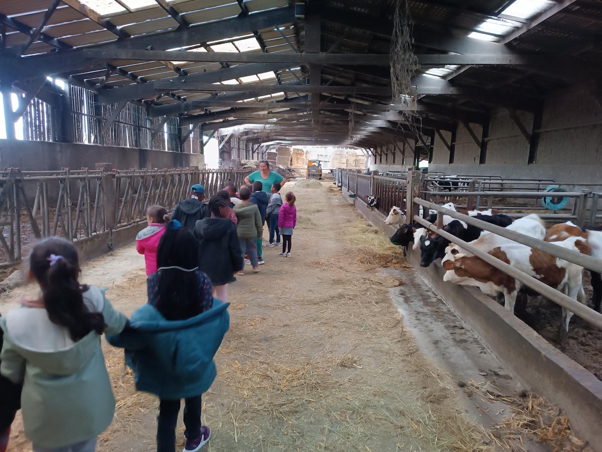 Quicray1's tweet photo. Premier jour en classe découverte pour les CP, aujourd'hui visite à la ferme et approche des animaux. 
#fermepedagogique
#fermedesoye
#REP https://t.co/UC5oEHGzcd