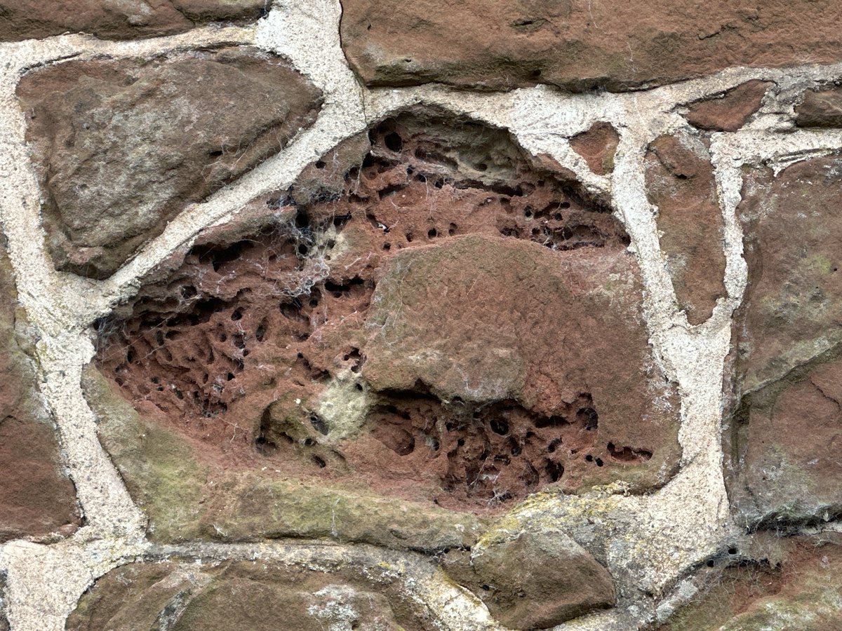 Forge_Property's tweet image. What is the masonry or mortar bee and how can you tell if you have these bees living in your property? Find out in our latest blog from our senior building surveyor Dave Bates.
forgeproperty.co.uk/blog/bee-aware…
#forgeproperty #surveying #homesurvey #buildingsurvey