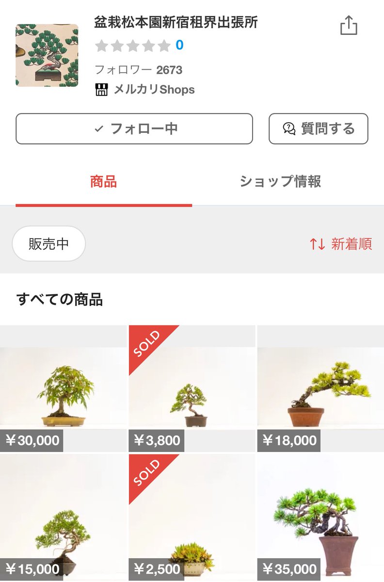 Z李 🇺🇦 NO WAR 🕊 on X