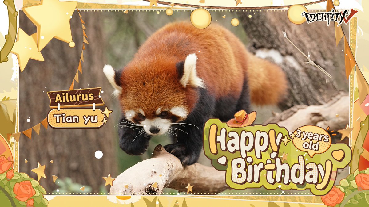 GameIdentityV's tweet photo. Dear Visitors,
Growing together with Identity V, their cuteness brightens our days!
Happy 3rd Birthday to our adorable, Tian Yu, Tian Qi, Tian Wu and Tian Bao!
#IdentityV #Panda https://t.co/eY1OOhlNbt