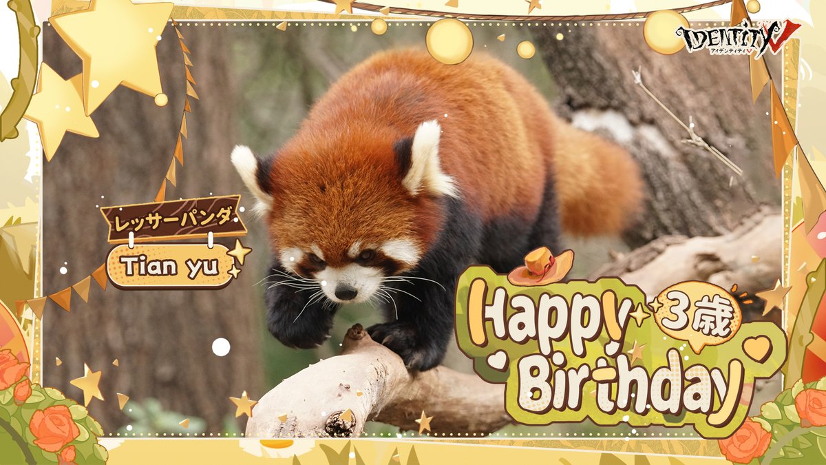 皆さんこんにちは！
パンダ保育員のエマなの！

今日はレッサーパンダの
四つ子ちゃんのお誕生日なの♪

第五人格が里親である
とっても甘えん坊で
やんちゃなレッサーパンダ！

Tian yu、Tian wu、
Tian qi、Tian bao！
お誕生日おめでとう！
皆でお祝いしようなの🎵

#IdentityV
#第五人格