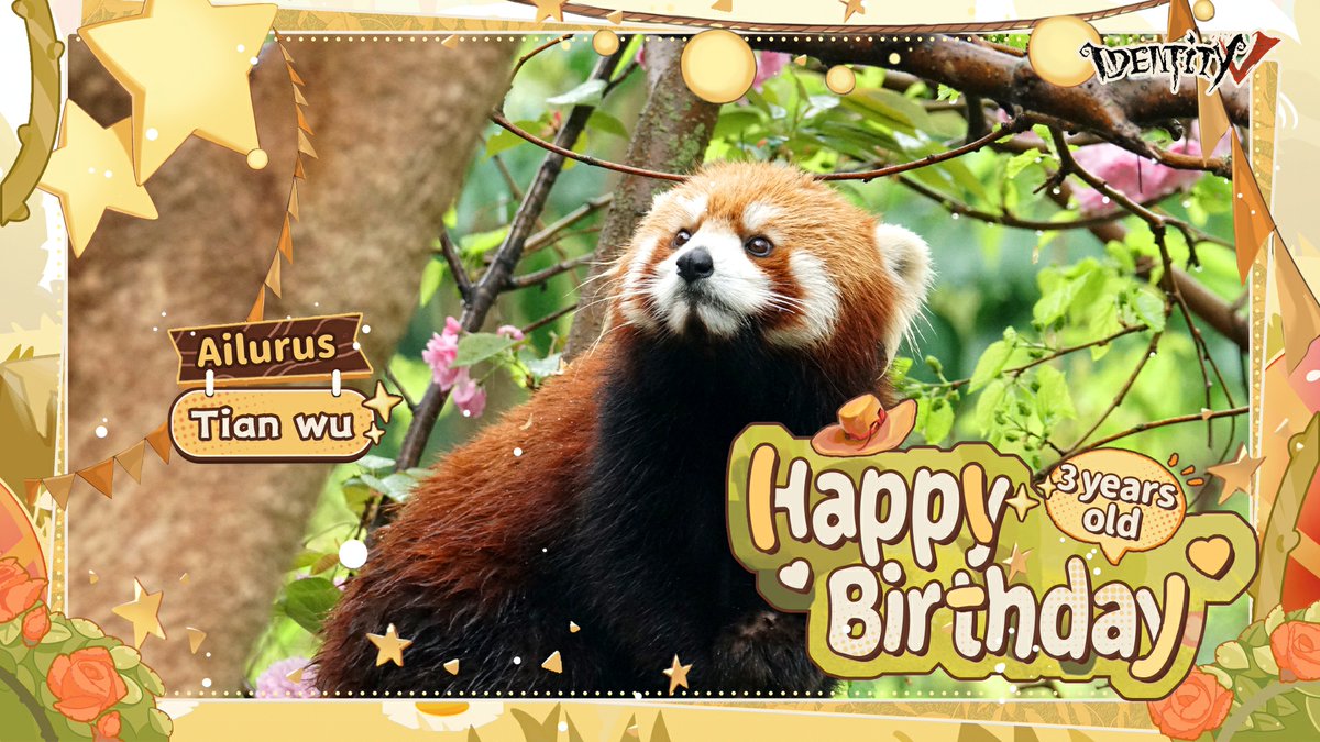 GameIdentityV's tweet photo. Dear Visitors,
Growing together with Identity V, their cuteness brightens our days!
Happy 3rd Birthday to our adorable, Tian Yu, Tian Qi, Tian Wu and Tian Bao!
#IdentityV #Panda https://t.co/eY1OOhlNbt