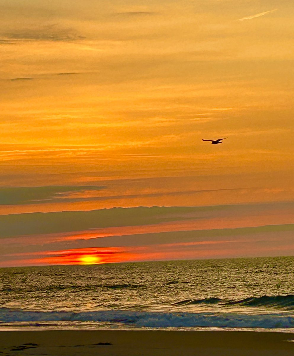 Daryle Esswein tweet media