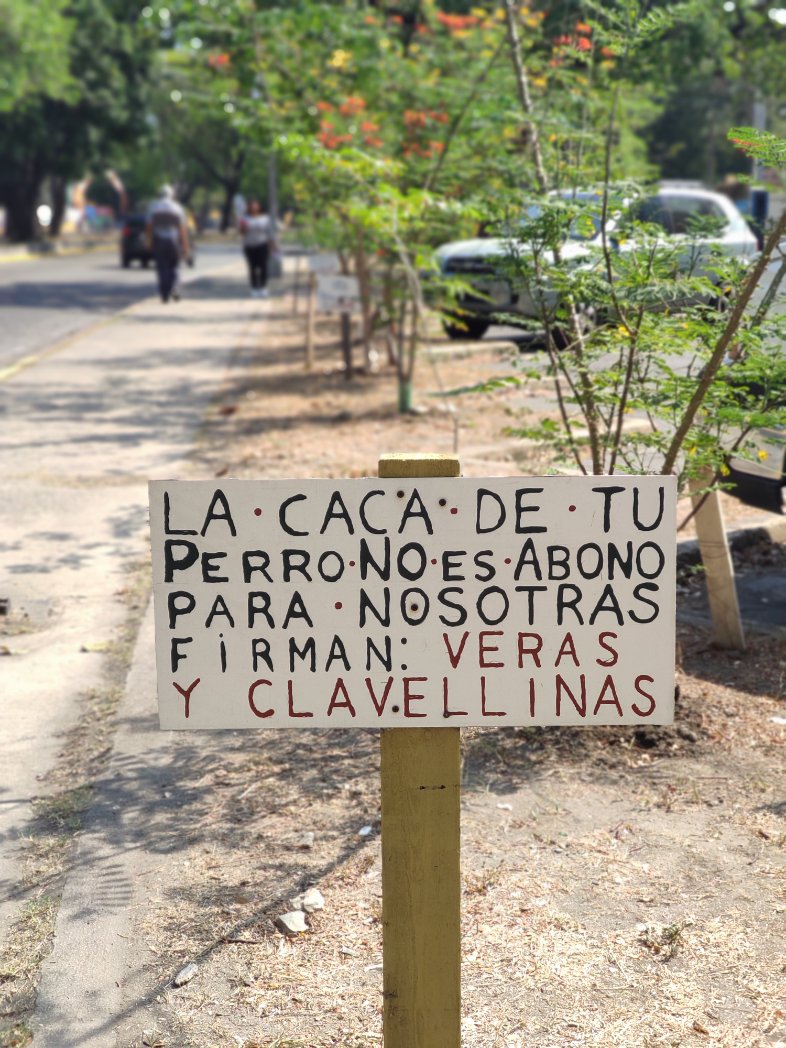 sembramostodos's tweet photo. Al pasear a tu mascota llévate los desechos que ella genere, evita dejarlos en la base de los árboles.
La orina de los perros contiene nitrógeno en altas cantidades que puede ser perjudicial para el árbol, la composición de sus heces puede alterar la calidad del suelo. https://t.co/8L5wlZv6PS