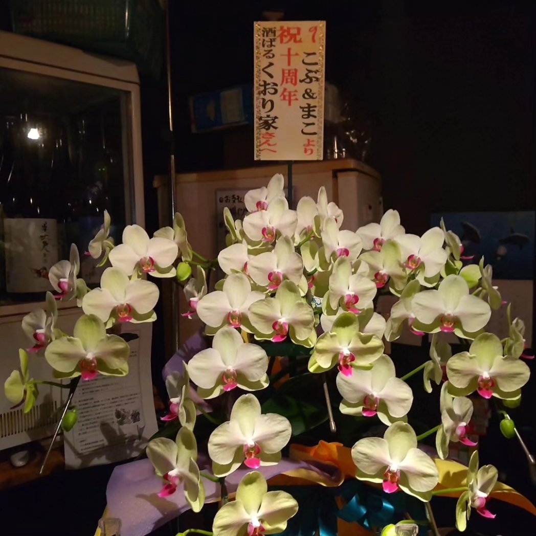 quali_ya's tweet photo. 来る6月20日、くおり家は開業10周年を迎えます。

コロナ禍やらアレやらナニやらありましたが、何とか10年続きました。皆様の日頃のご愛顧に感謝申し上げます。

そんなわけで、6/20（木）-23（日）はお一人につき最初の１杯分を無料※とさせていただきます。

↓続きます https://t.co/Imp8oUOcUO
