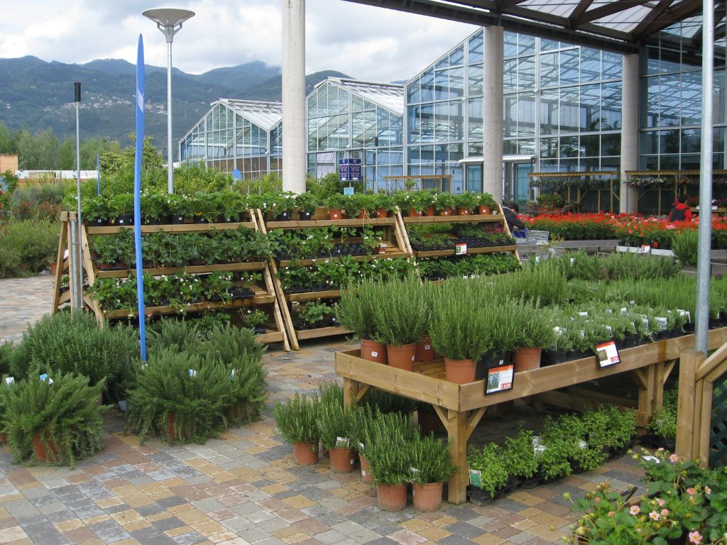stagecraft_uk's tweet photo. Garden Centre benching, plant area staging and display stands for garden centres. Visit our website and find the perfect plant displays for your garden centre https://t.co/WZ7uYXAWD9 #gardencentreretaildisplay
📞01686629096
📧 sales@stagecraft-uk.com https://t.co/oaJTW9iLjF