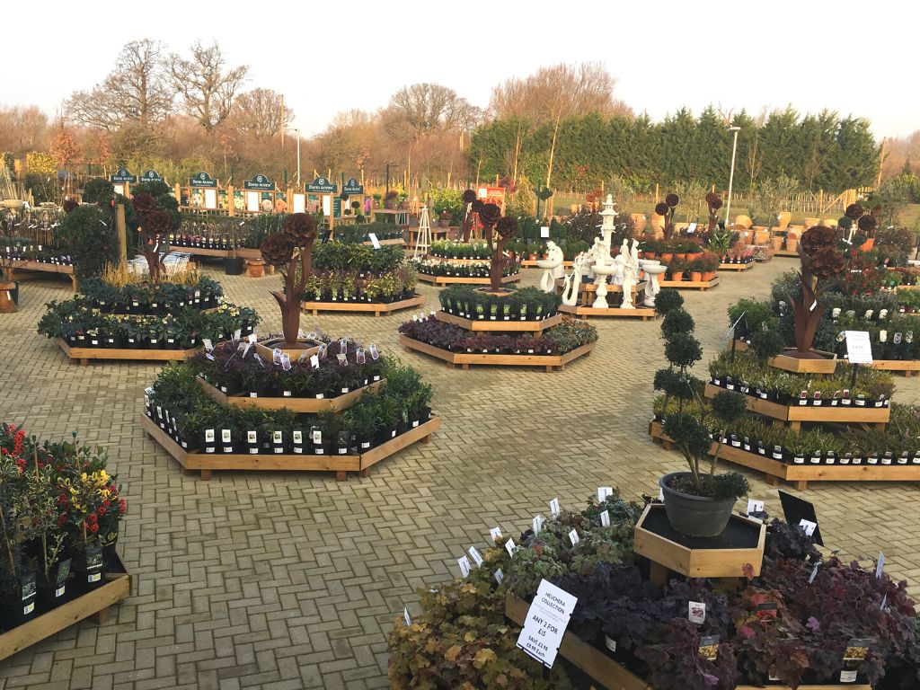 stagecraft_uk's tweet photo. Garden Centre benching, plant area staging and display stands for garden centres. Visit our website and find the perfect plant displays for your garden centre https://t.co/WZ7uYXAWD9 #gardencentreretaildisplay
📞01686629096
📧 sales@stagecraft-uk.com https://t.co/oaJTW9iLjF