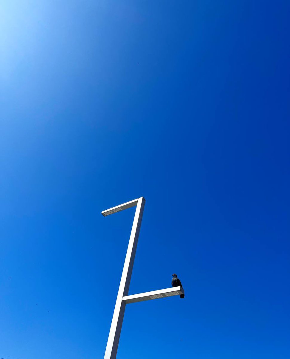 BexxVlog's tweet image. Pigeon🕊️ 

#paulbexx #bexxvlog #pigeon #nature #wildlife #birdwatching #urbanwildlife #citybirds #peace #animals #birdlovers #instabird #wildlifephotography