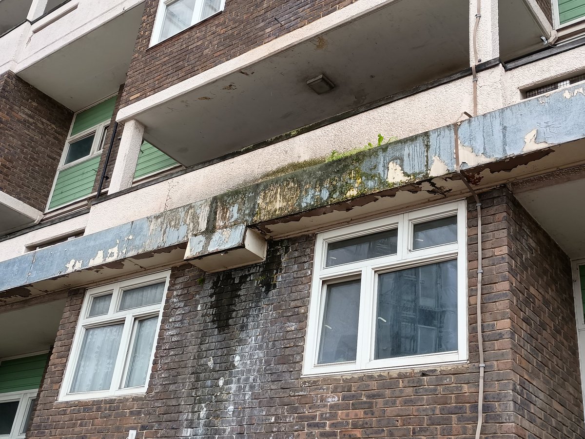 Before regeneration comes managed decline.