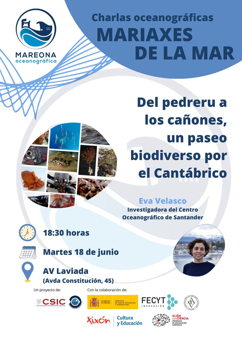 ¿Realmente conocemos lo que hay entre el pedreru y las mayores profundidades cantábricas? 

En el último de los #MariaxesDeLaMar de la #MareonaOceanográfica,@EvaUve nos llevará mañana de paseo biodiverso hasta los cañones donde habita el calamar gigante.

¿Vas a perdertelo?