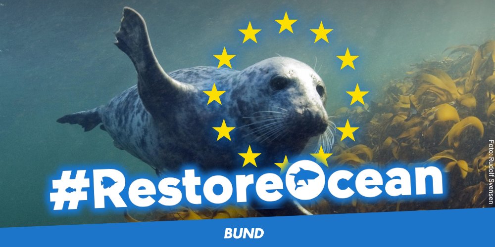 .<a href="/EUCouncil/">EU Council</a> nimmt #NatureRestorationLaw an! 🎉 Nach langen Verhandlungen ist der Weg endlich frei f.d. Renaturierung der Natur an Land u. im Meer. Los geht's, #RestoreNature #RestoreOcean! 🌊🌳💪  Danke <a href="/SteffiLemke/">SteffiLemke</a> @bmuv <a href="/JuttaPaulusRLP/">Jutta Paulus</a> <a href="/SeasAtRisk/">Seas At Risk</a> #Meereswende