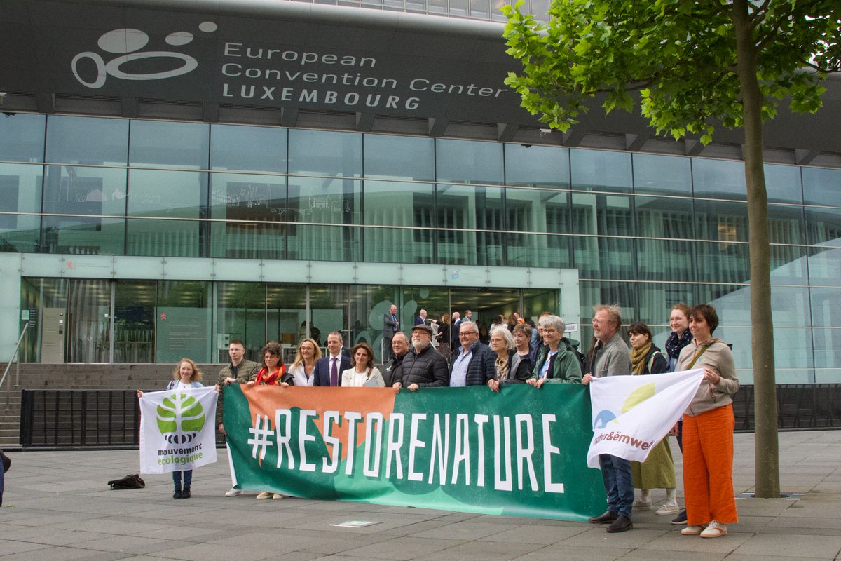 🎉Vittoria storica per la #natura🎉

Dopo un travagliato iter legislativo, l' <a href="/EUCouncil/">EU Council</a>  ha adottato il Regolamento sul ripristino della natura. 
Il governo #Meloni ha votato anacronisticamente contro, ma dovrà applicare il regolamento

#RestoreNature
👉wwf.it/pandanews/ambi…