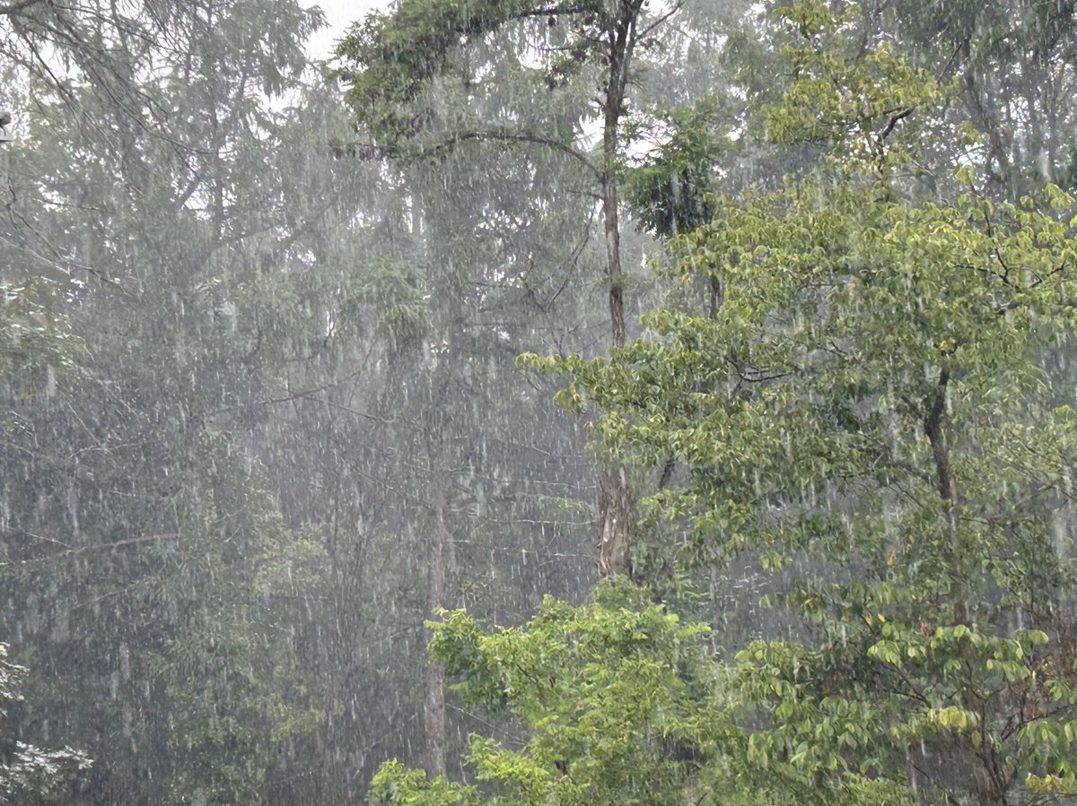 Simone Peter 🌍 #Erneuerbare tweet media